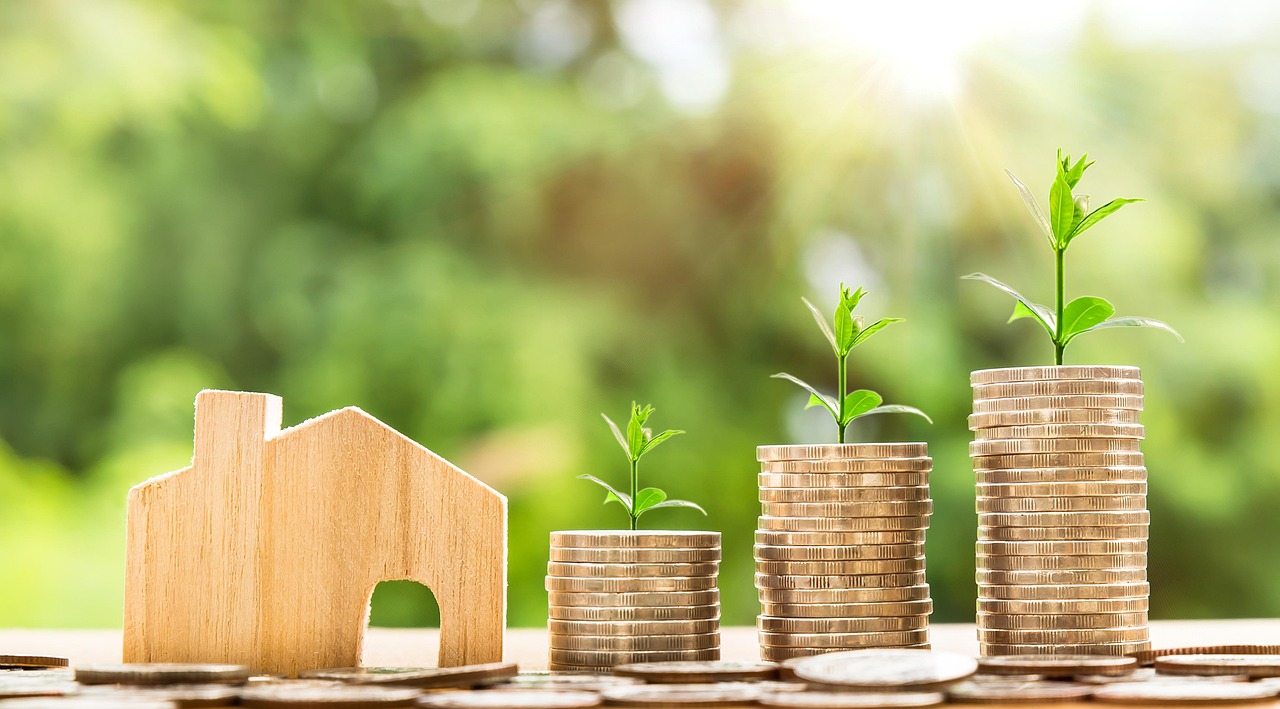 ce inseamna active imobilizate